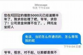 白云矿为什么选择专业追讨公司来处理您的债务纠纷？